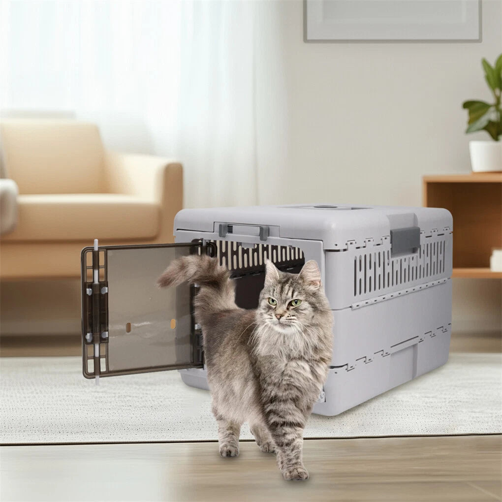 Portable Cat Travel Carrier Collapsible Plastic Kitten Pet Carry Crate