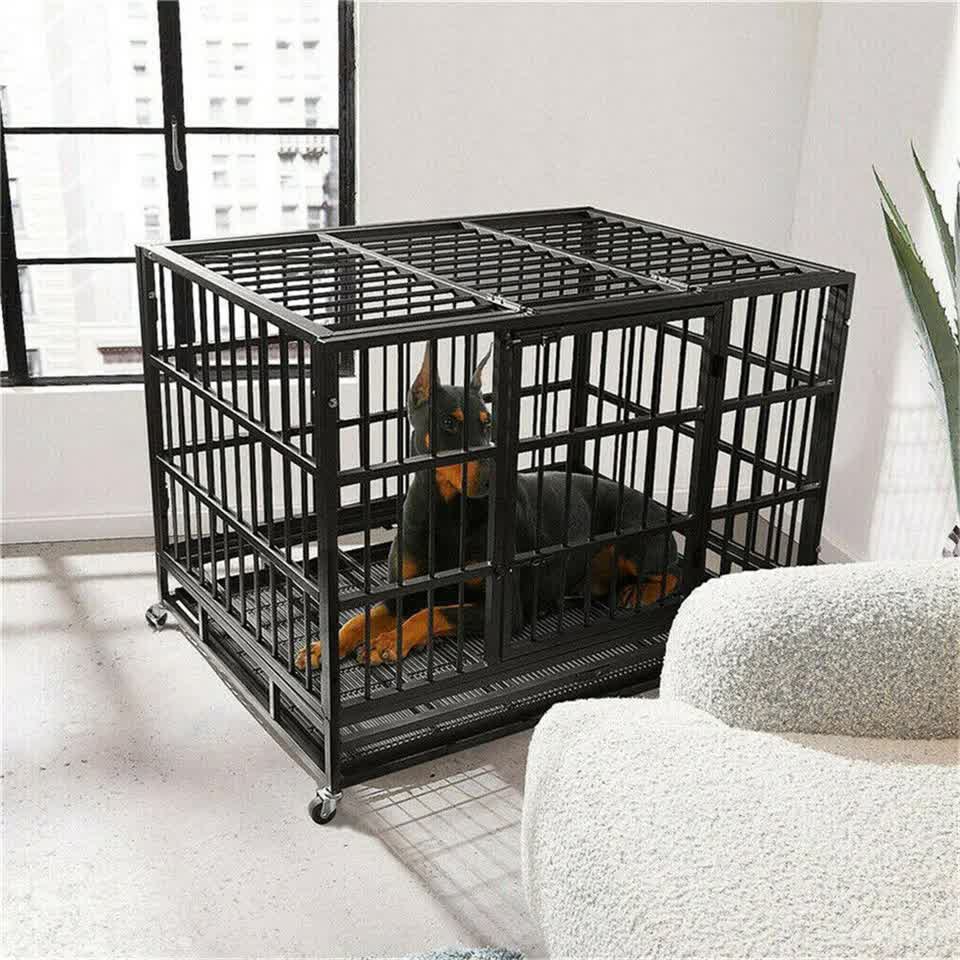 Heavy Duty Dog Cage with Lock & Bottom Tray