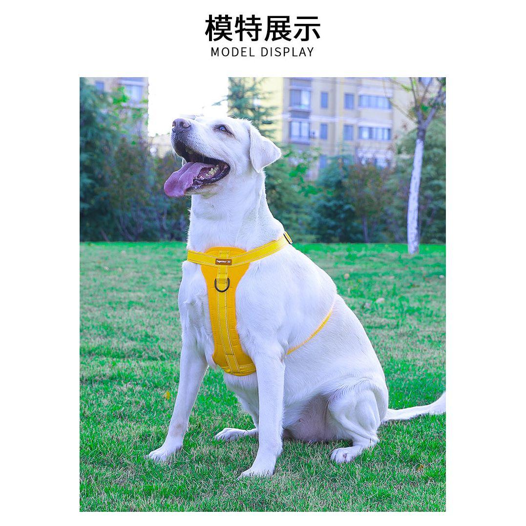 Reflective Dog Harness with Leash, No-Pull Vest Harness for Dogs, Adjustable Dog Vest with Handle, Walking Training Pet Harness XL size