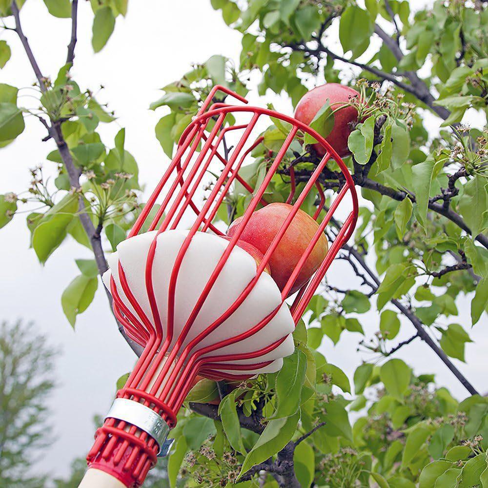 Fruit picking tool with telescopic pole - stainless steel fruit picking pole, high altitude tree fruit picking tool 3.2m