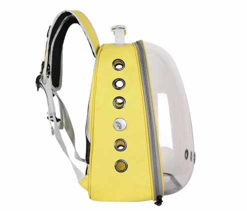 Teal Stylish Transparent PVC Pet Carrier Backpack - Large Capacity, Multi-Use for Birds & Cats(Including Wooden Stick)