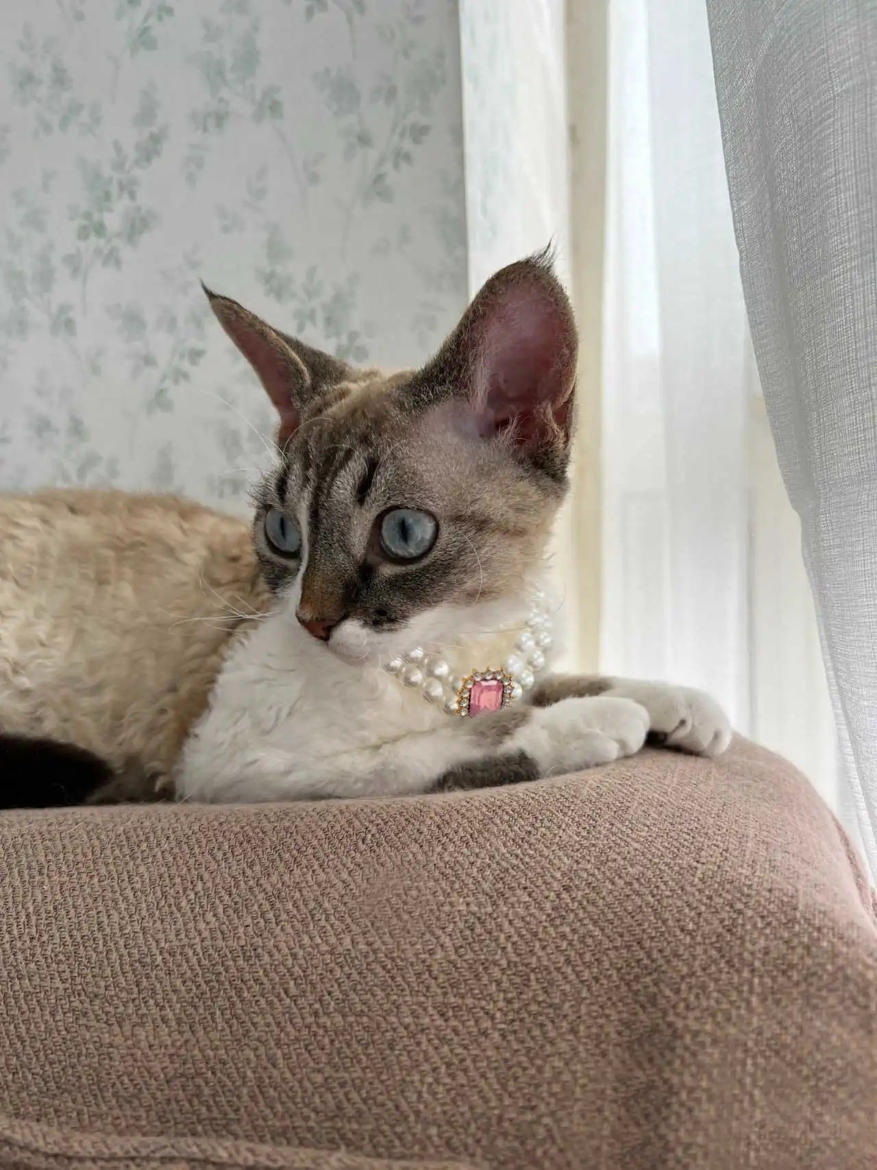 3-pcs Pink Diamond Double Strand Pearl & Rhinestone Pet Necklace - Luxury Collar for Cats & Dogs Size M (25-31CM)