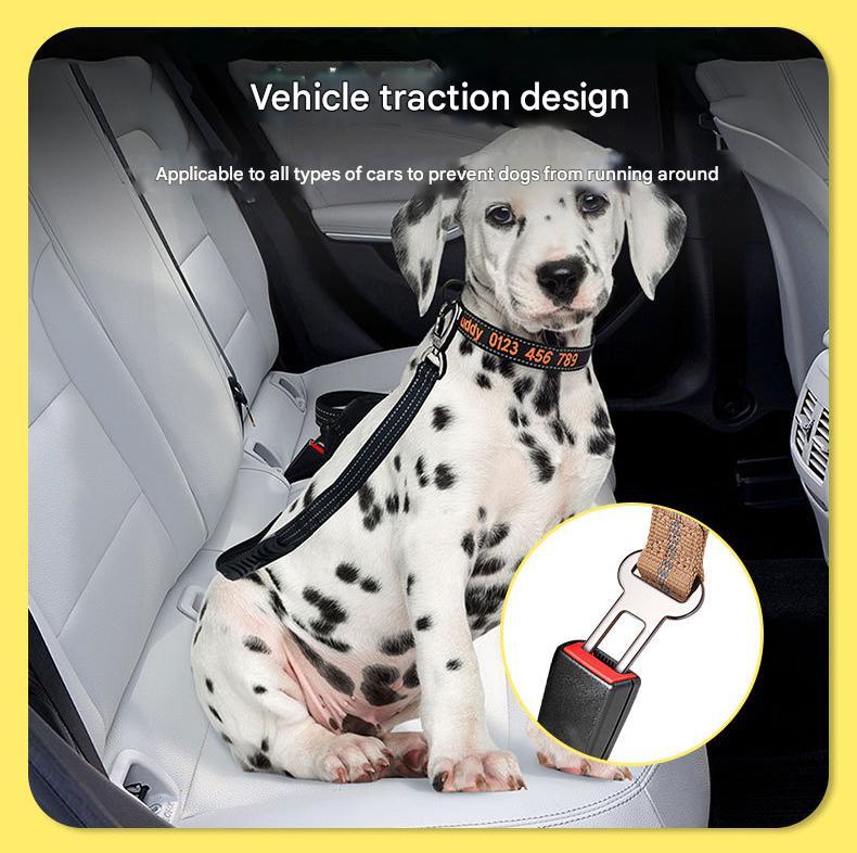 Red Shock Absorbing Dog Leash with Reflective Stitching - 135cm for Small to Large Dogs