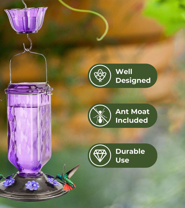 Elegant Hanging Hummingbird Feeder - Decorative Glass Nectar Bottle with Ant Moat, 6 Feeding Ports(Purple)