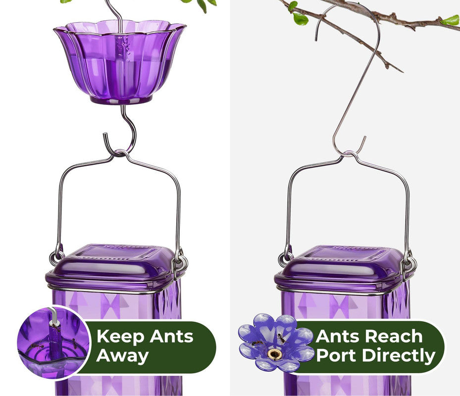 Elegant Hanging Hummingbird Feeder - Decorative Glass Nectar Bottle with Ant Moat, 6 Feeding Ports(Purple)