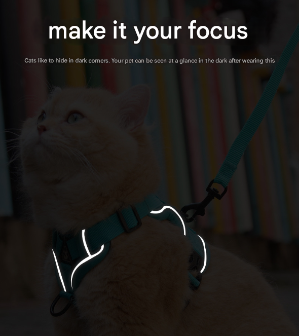 Rose Red Reflective Mesh Dog Harness and Leash Set - Adjustable No-Pull Vest - M