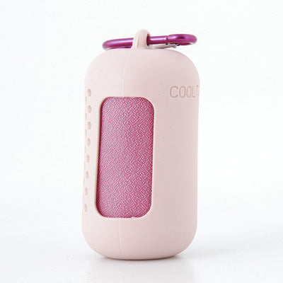 Pink Quick Dry Cooling Towel Set (2 Pack) - Microfiber Sport Towels with Silicone Cases & Carabiners