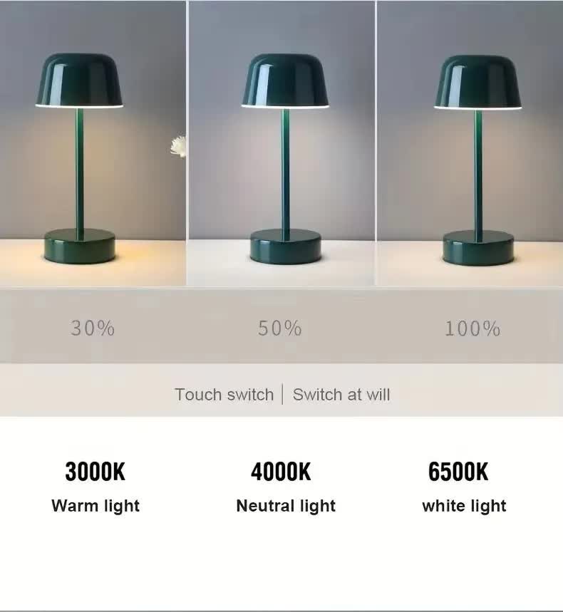 Coffee Modern Minimalist LED Table Lamp - Rechargeable Touch Control Desk Light