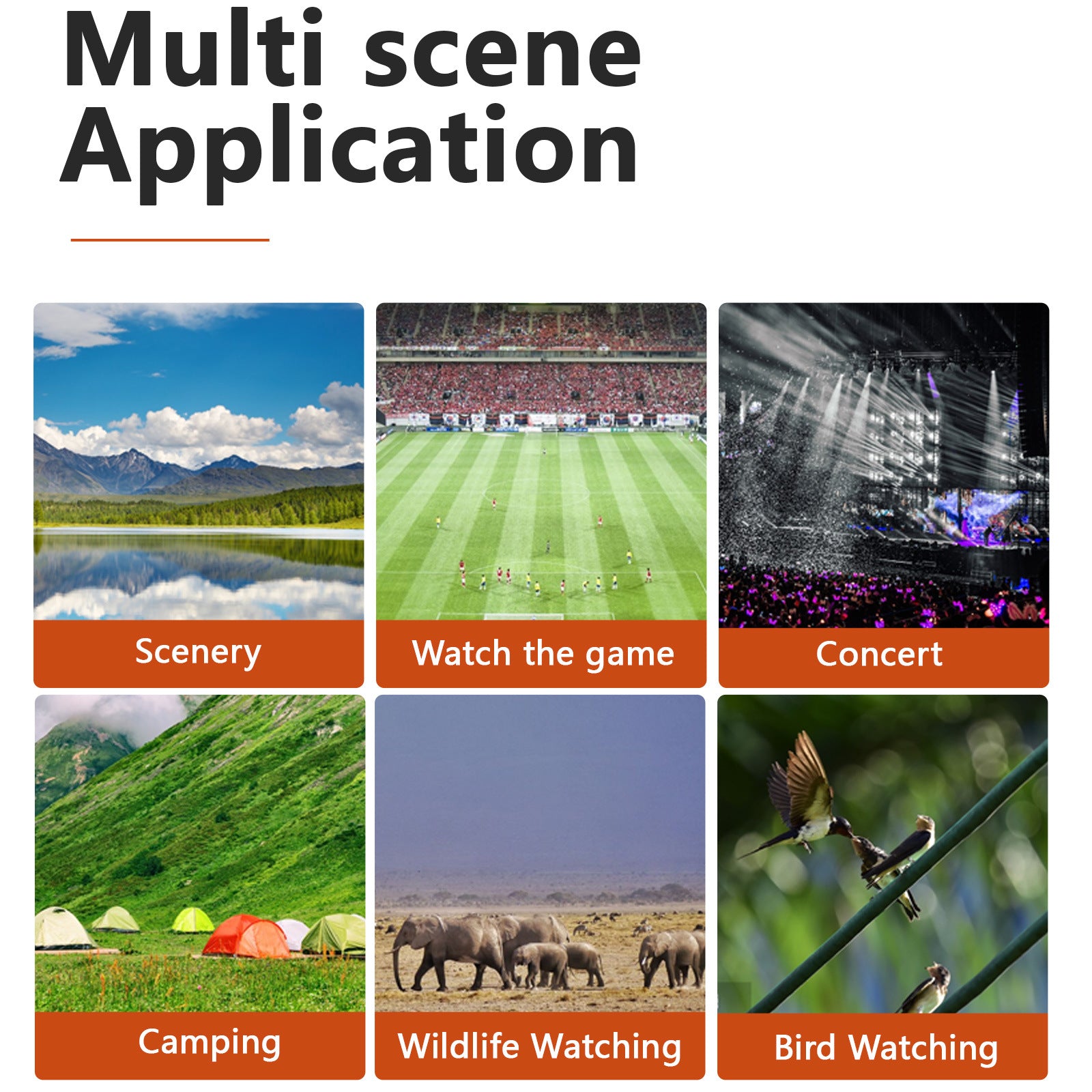 Silver and Black HD Digital Camera Binoculars 8X Zoom - Record Video & Photos with LCD Screen, Starlight Night Vision for Outdoors