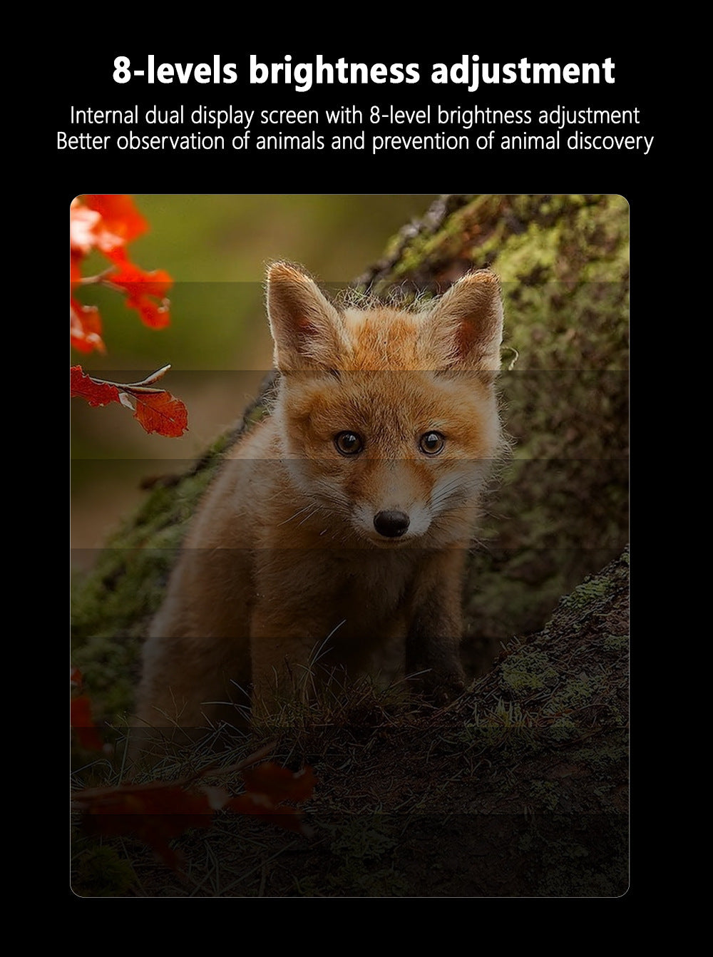 Green Professional HD Digital Night Vision Binoculars - 6X Optical Zoom, IR Illumination, Record 2.5K Video & 48MP Photos