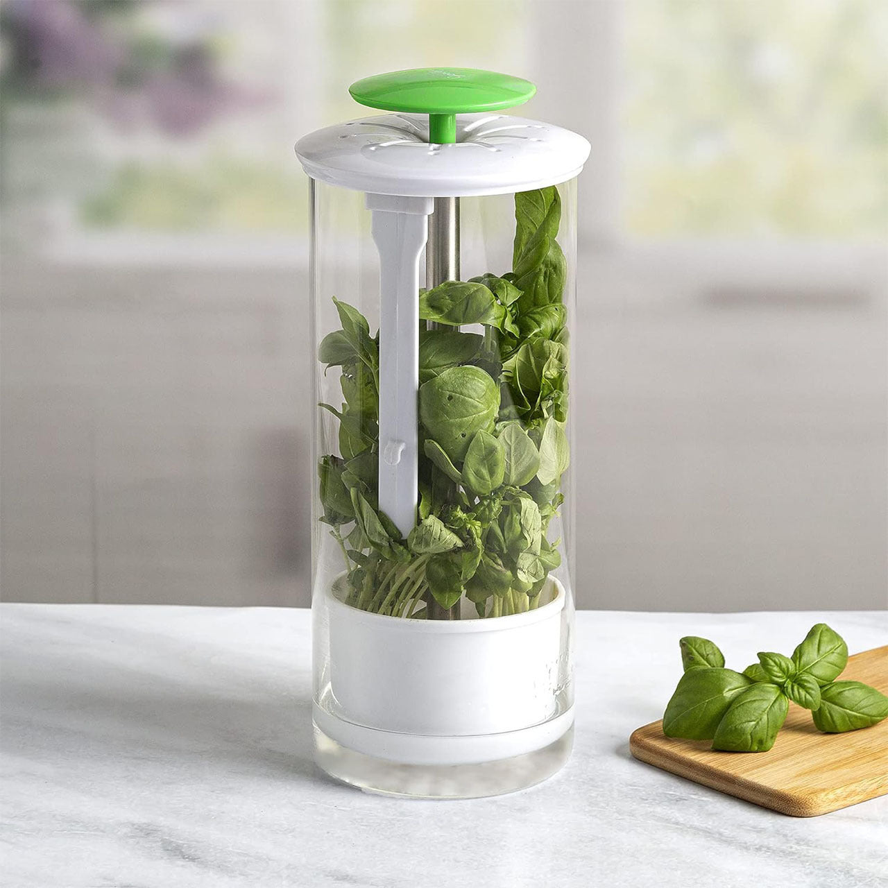 Green Premium Herb Savor & Freshness Keeper - Extends Life of Herbs, Cilantro, Parsley & More