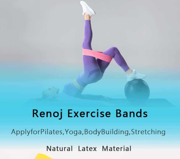 Blue 10 Pieces of 2 Sets Premium Resistance Loop Bands - Fitness Exercise Bands for Legs, Glutes, and Strength Training with Carry Bag