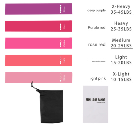 Pink 10 Pieces of 2 Sets Premium Resistance Loop Bands - Fitness Exercise Bands for Legs, Glutes, and Strength Training with Carry Bag