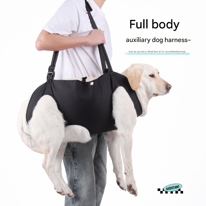 Black Pet Support Harness for Senior and Disabled Dogs - Adjustable Chest and Back Support Leash(Size M)
