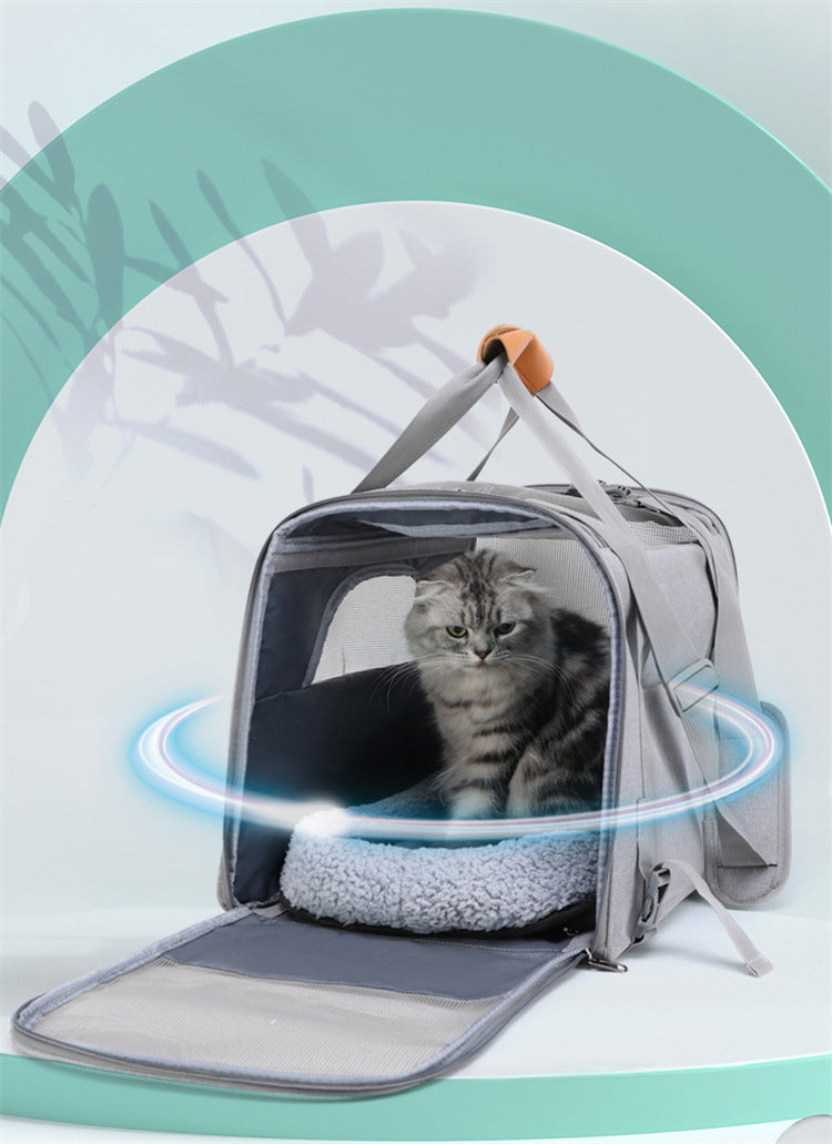 Foldable Soft-Sided Pet Carrier for Travel - Fits Cats & Small Dogs Under 6kg, with Removable Plush Bed & Shoulder Strap(black)