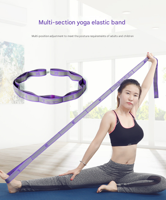 Blue and Purple 9-Loop Yoga Stretch Strap - Numbered Band for Flexibility and Physical Therapy