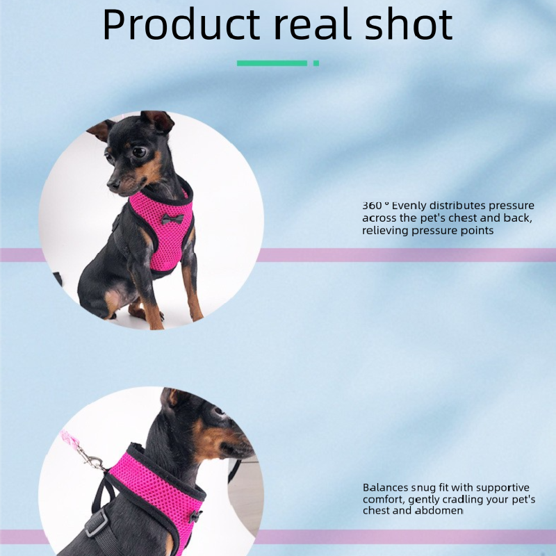 2-Pcs Green Adjustable Pet Harness with Leash – Breathable Mesh Design for Small Dogs, Cats, Chickens, Ducks & More | Anti-Escape, 360° Support, Lightweight & Comfortable in Australia(Size:M)