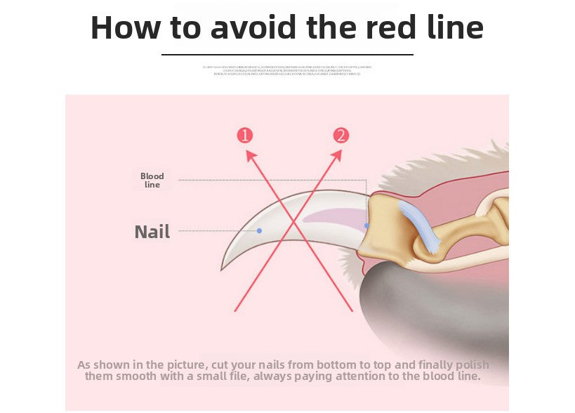 Pet Nail Clippers & File Set for Small Dogs Cats Stainless Steel Claw Trimmer with Safety Guard Non-Slip Handle Grooming Tool White & Blue