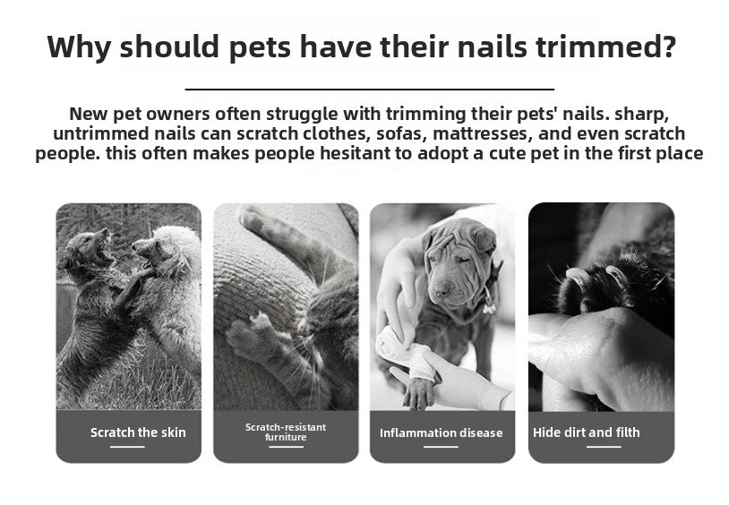 Pet Nail Clippers & File Set for Small Dogs Cats Stainless Steel Claw Trimmer with Safety Guard Non-Slip Handle Grooming Tool Black & Purple