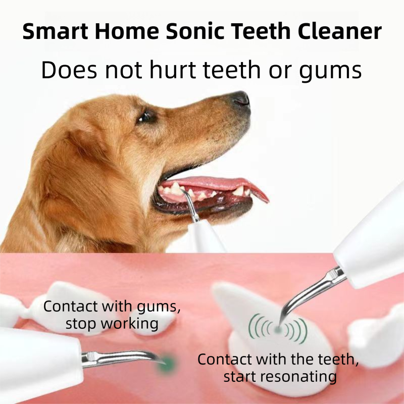 Professional Waterproof Ultrasonic Pet Tooth Cleaner - Dog Cat Painless Calculus and Stain Remover Kit with 4 Cleaning Heads, LED, UV Disinfection, Oral Mirror & Dental Floss