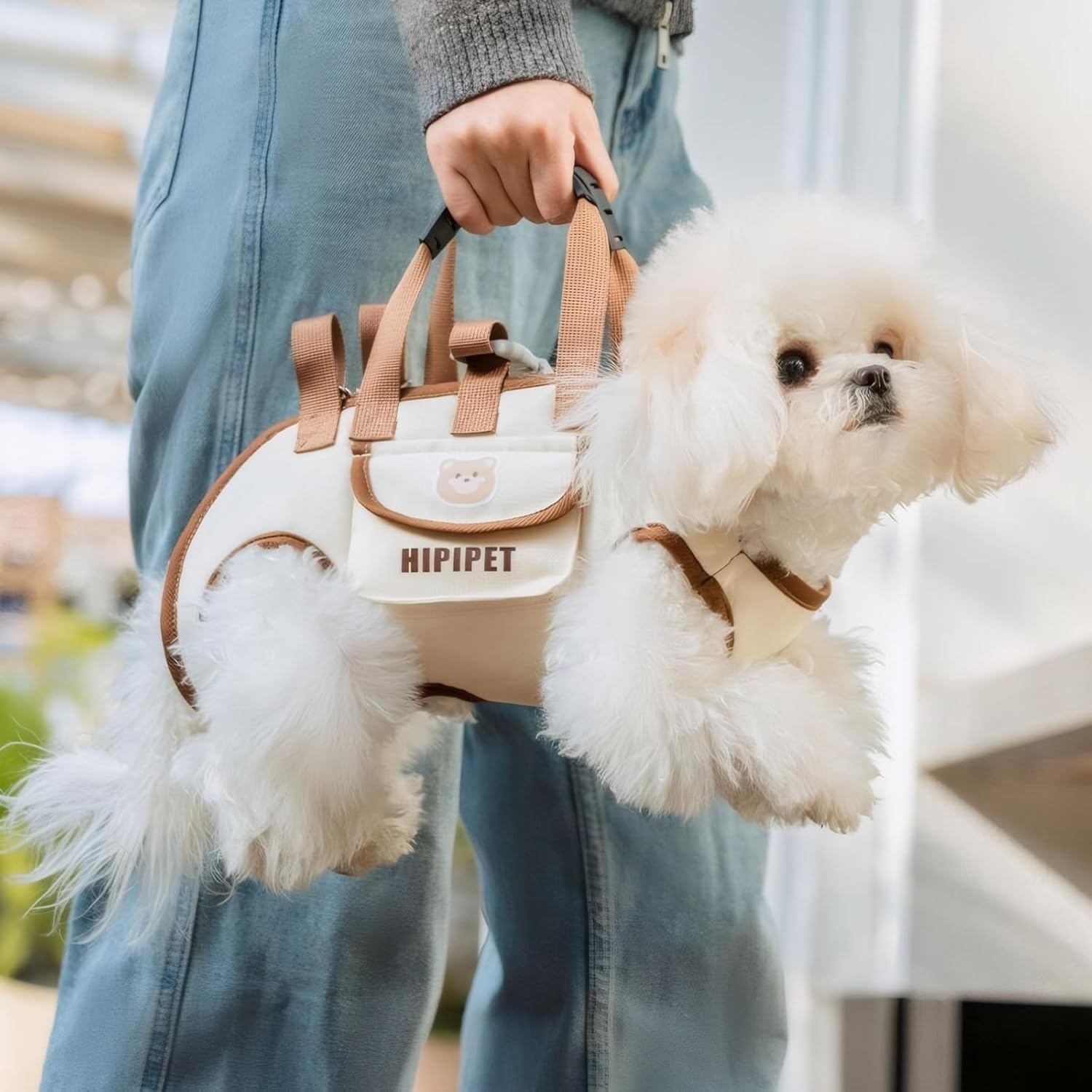 Black 4-in-1 Multi-Functional Pet Carrier Bag with Detachable Strap & 1.5M Traction Rope - Lightweight Breathable Travel Sling for Cats & Dogs - Sizes M(Up to 6.5kg)