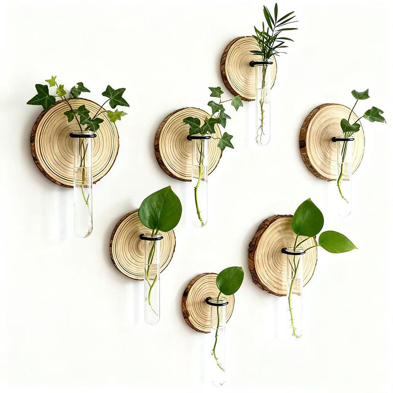 6-Pack Wall-Mounted Hydroponic Plant Test TubeFlower Pot for Indoor Plants & Cuttings