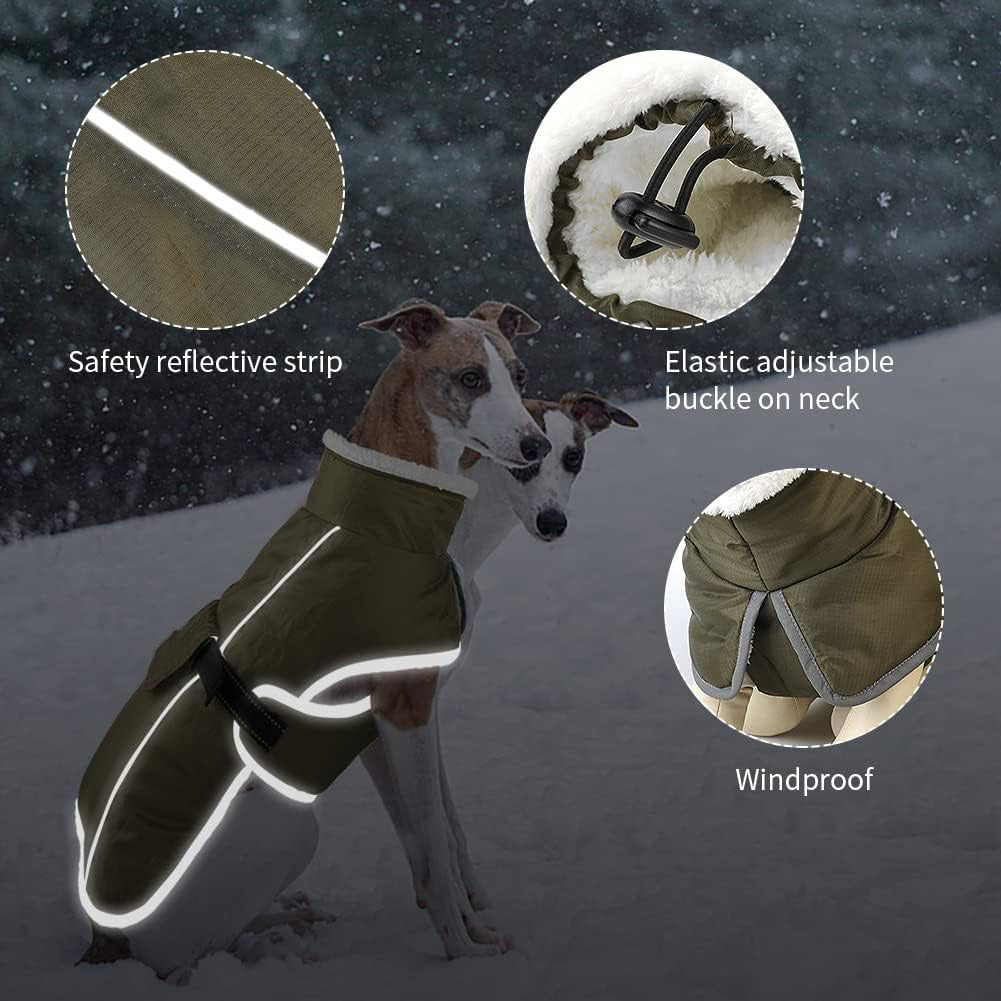 Green Dog Winter Jacket – Warm, Windproof & Waterproof Pet Coat with Fleece Lining and Reflective Strips for Cold Weather(Size: M)