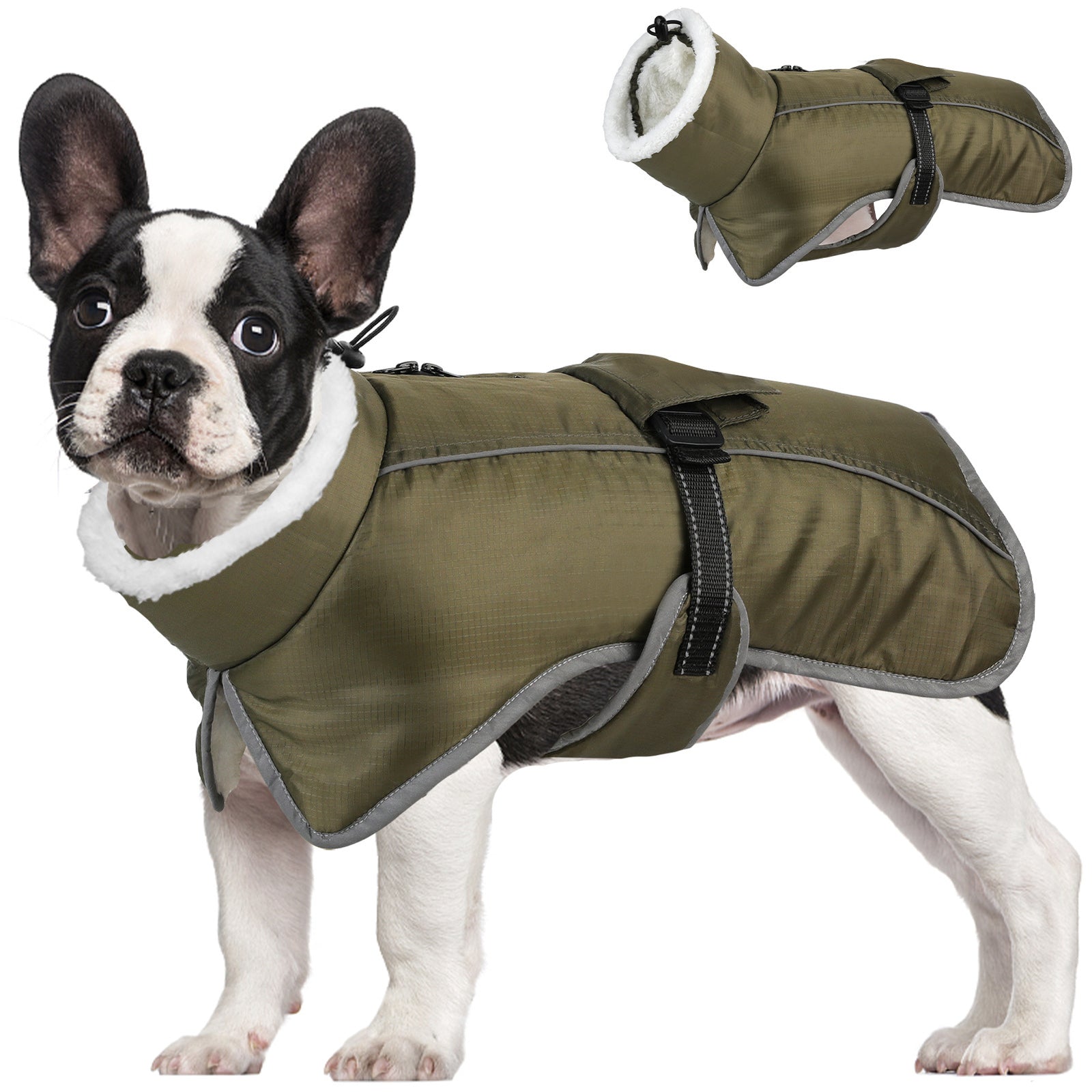 Green Dog Winter Jacket – Warm, Windproof & Waterproof Pet Coat with Fleece Lining and Reflective Strips for Cold Weather(Size: M)