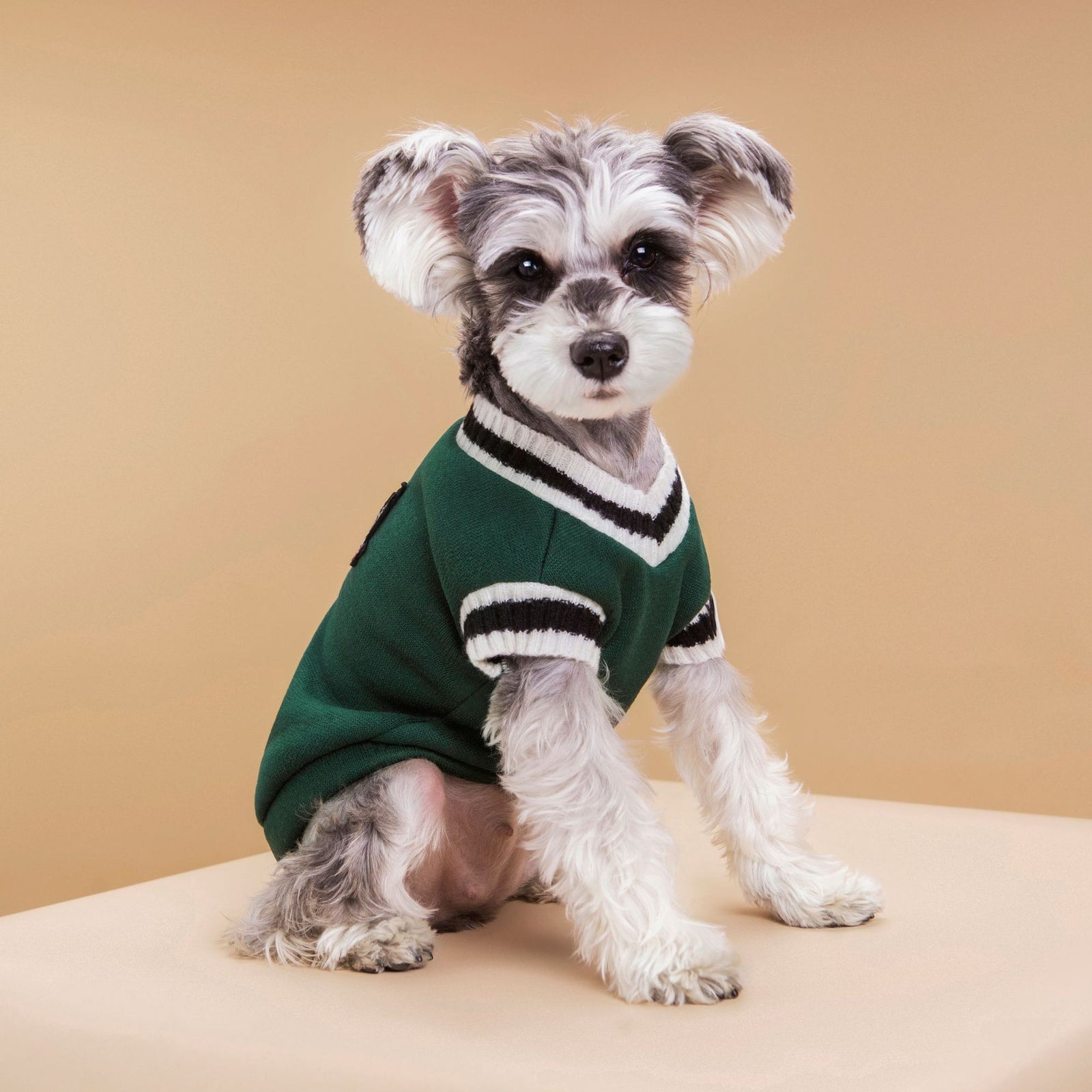 4-Pack M Size Preppy Style V-Neck Knitted Cotton Pet Sweater - Hair-Resistant & Breathable, Classic Fleece-Lined Pullover for Cats and Dogs(Green + Red + Khaki + Grey)