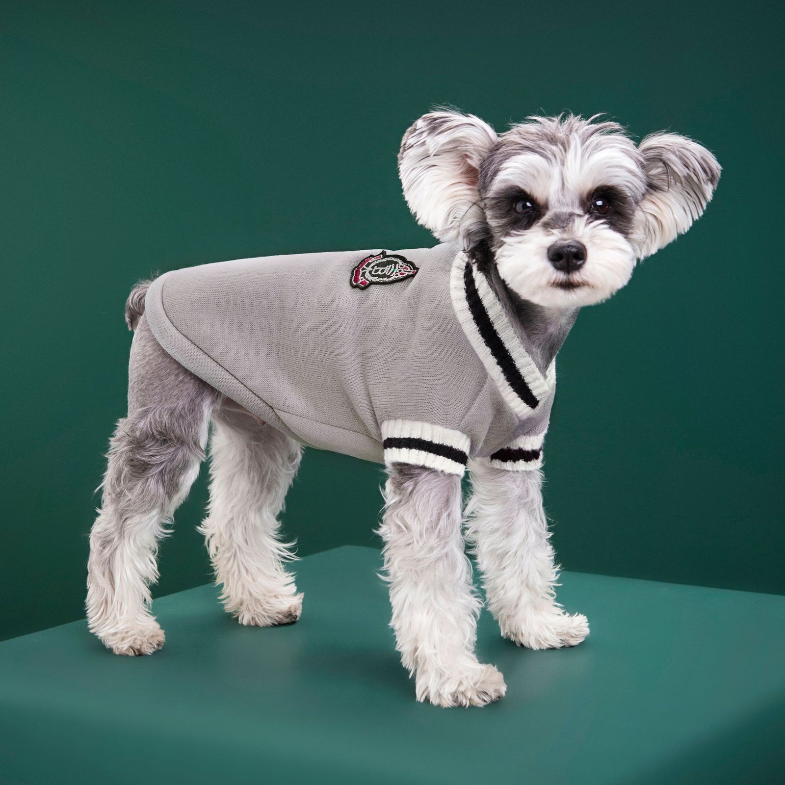 4-Pack XL Size Preppy Style V-Neck Knitted Cotton Pet Sweater - Hair-Resistant & Breathable, Classic Fleece-Lined Pullover for Cats and Dogs(Green + Red + Khaki + Grey)