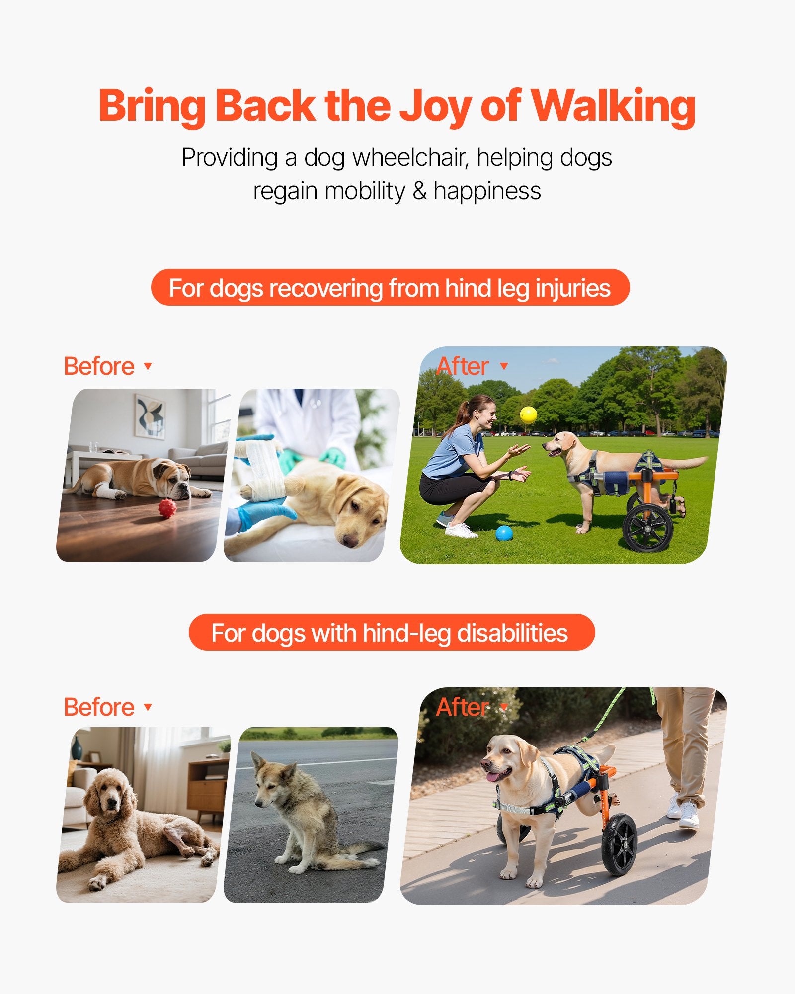 VEVOR Dog Wheelchair for Back Legs, Lightweight 2 Wheels Pet Wheelchair, Height, Width & Length Adjustable, Dog Cart with Shock-Absorbing Wheels, for Injured, Disabled Dogs 15.8-21.7 kg, Medium