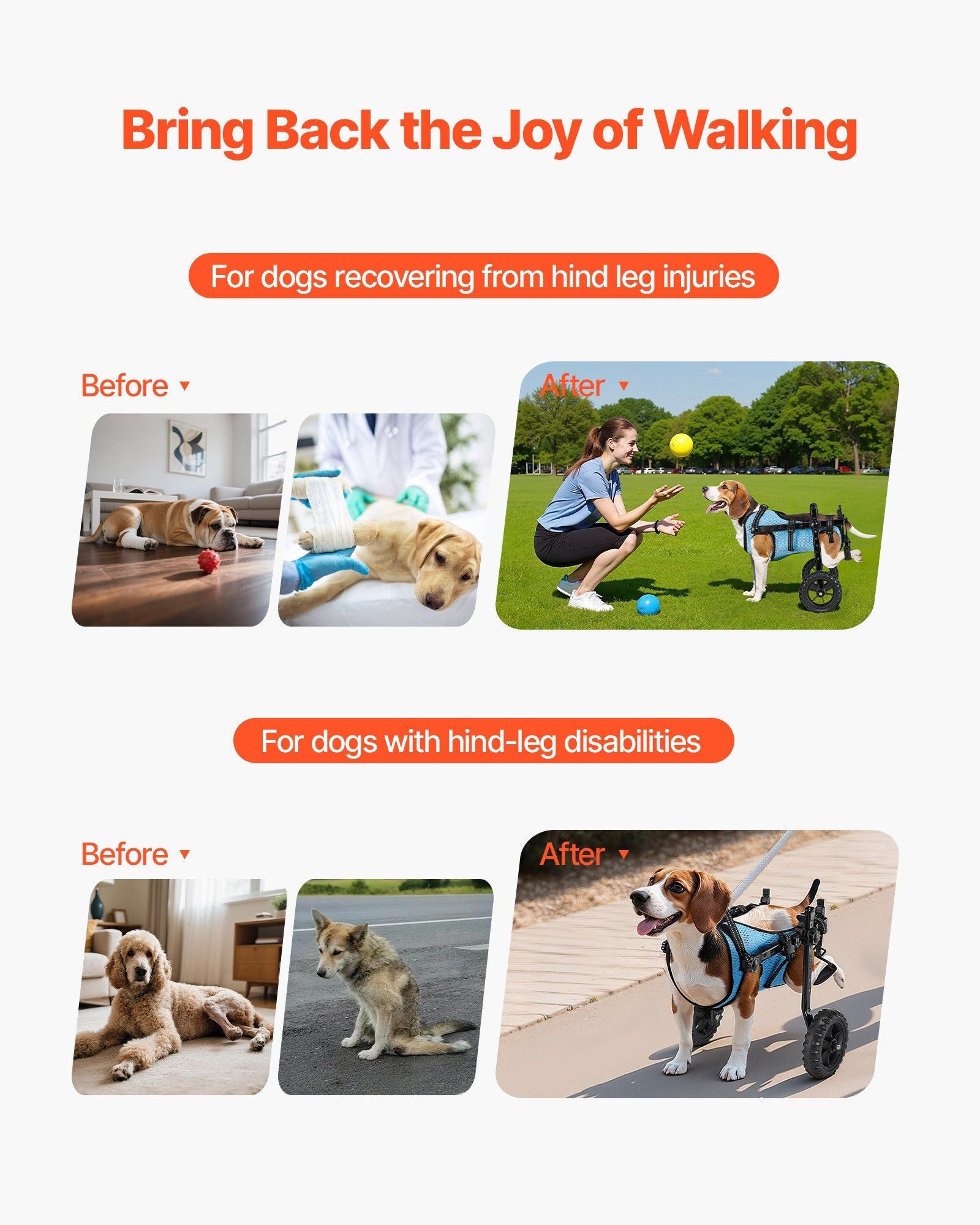 Dog Wheelchair for Back Legs, Adjustable 2 Wheels Pet Wheelchair, Lightweight Dog Cart with Shock-Absorbing Wheels, Mobility Support Wheel Chair for Disabled Injured Dogs up to 10kg, Small