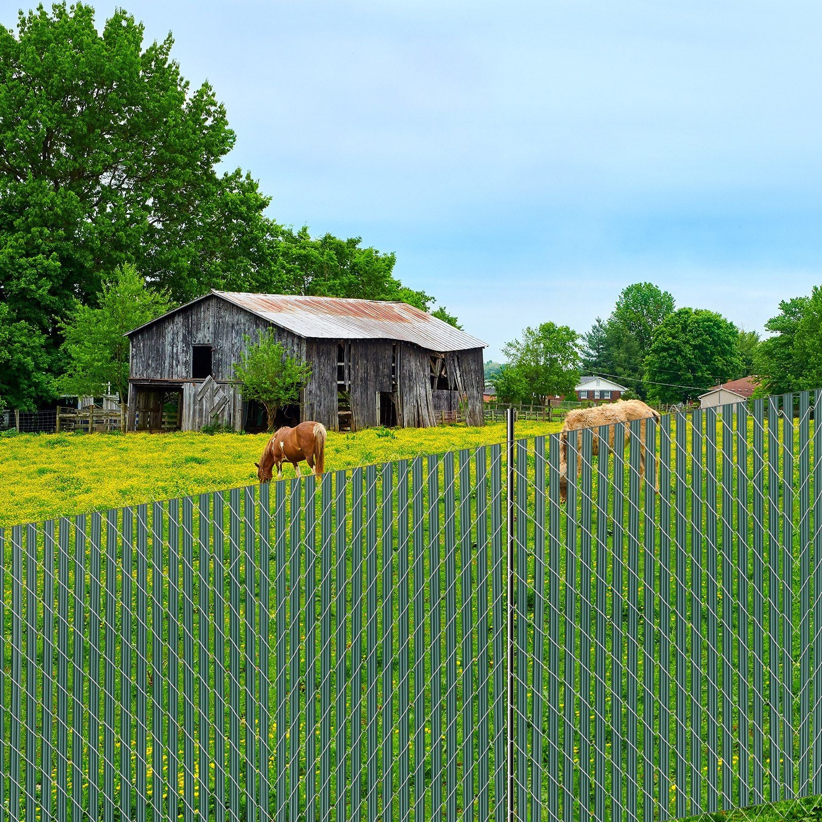 Bottom Locking Privacy Slats, Single-Wall Vertical Bottom-Locking Slats for Chain-Link Fence, High-Density HDPE Chain Link Slats Ideally Fit 1.5 m High Fence for Garden Farm Sports Field(Green)