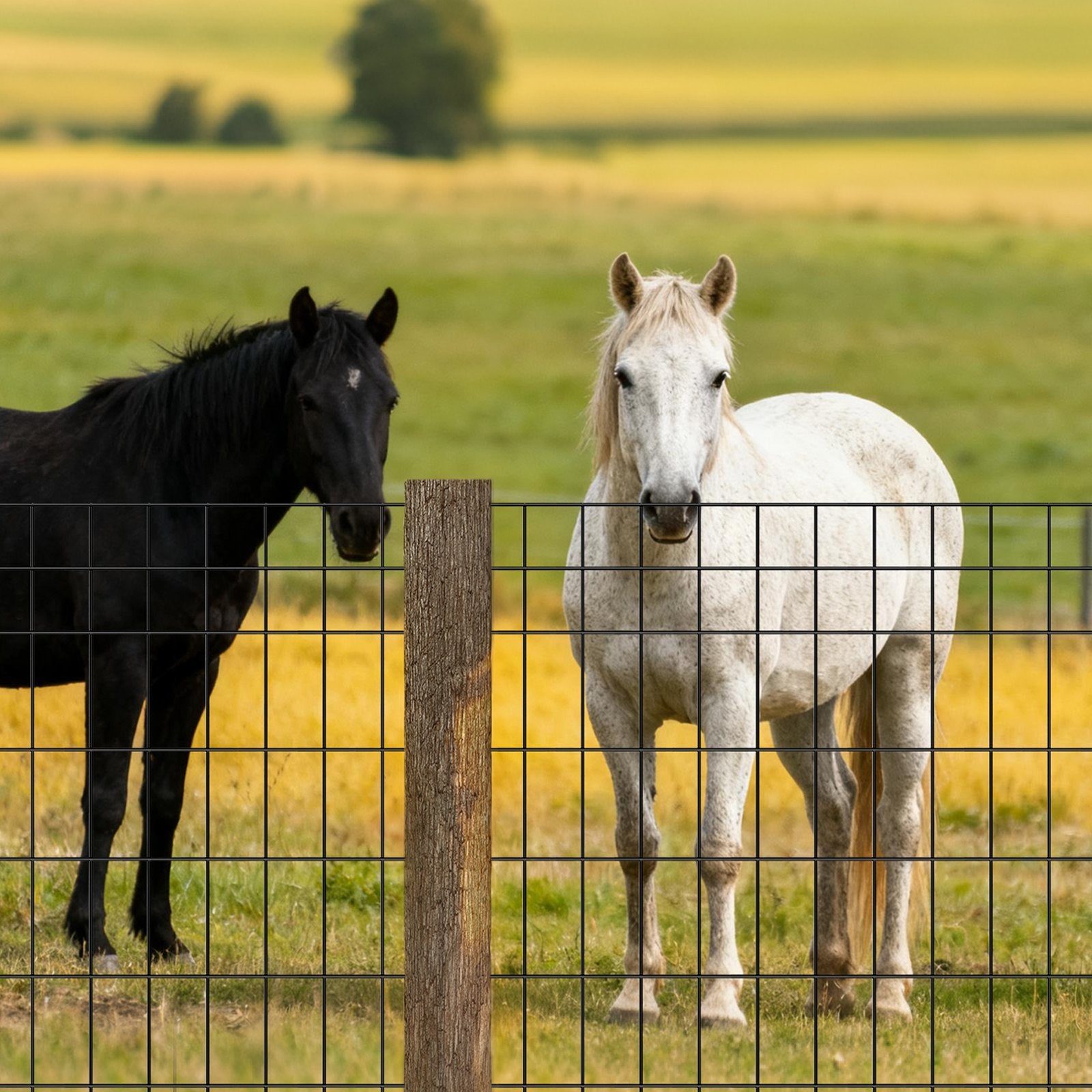 VEVOR Farm Fence, 122cm x 15.2m, 2 x 4 in Mesh 14 Gauge Galvanized Steel Wire Fencing for Cattle, Hog & Sheep , Heavy Duty Vinyl Coated Livestock Fence for Animal Enclosures, Cage Wire, Garden Fences