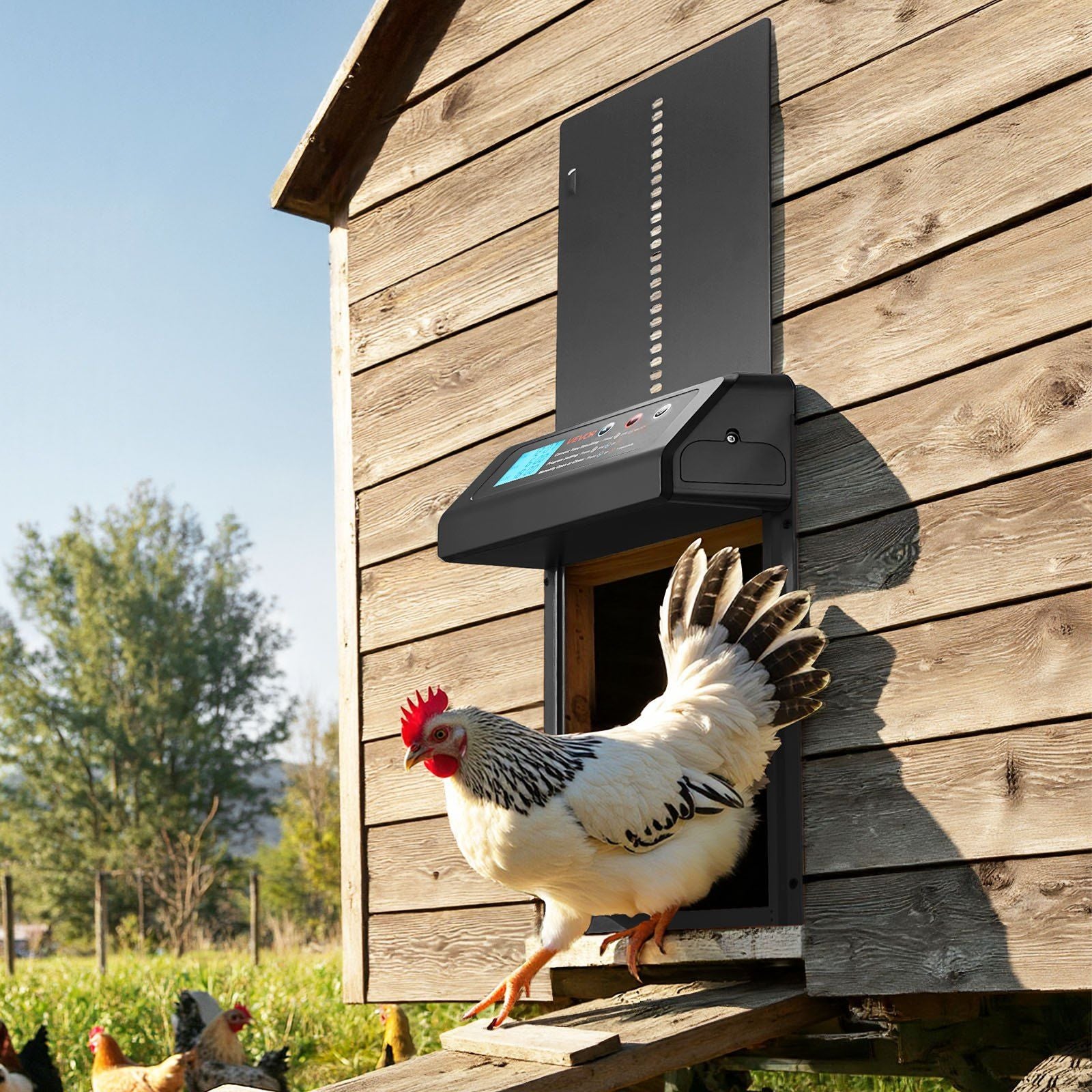 Automatic Chicken Coop Door, Battery Powered Chicken Coop Door with Timer & Manual Setting, Anti-Pinch Security, Durable Aluminum Alloy, Auto Chick Run Gate Opener with Waterproof Sealing, Black
