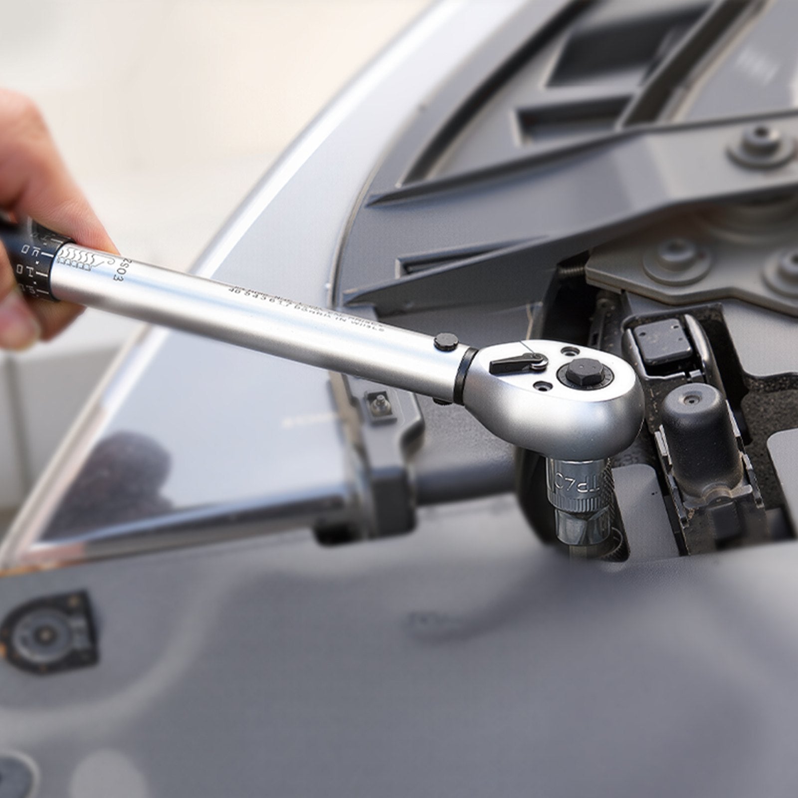 VEVOR Torx Bit Socket and External Torx Socket Set, 60-Piece T6-T70, TT6-TT70, TP8-TP60, E4-E24, S2 Alloy Steel and Cr-V Steel, 1/4 in, 3/8 in, and 1/2 in Drives, with Enhanced Storage Case, Hand Use