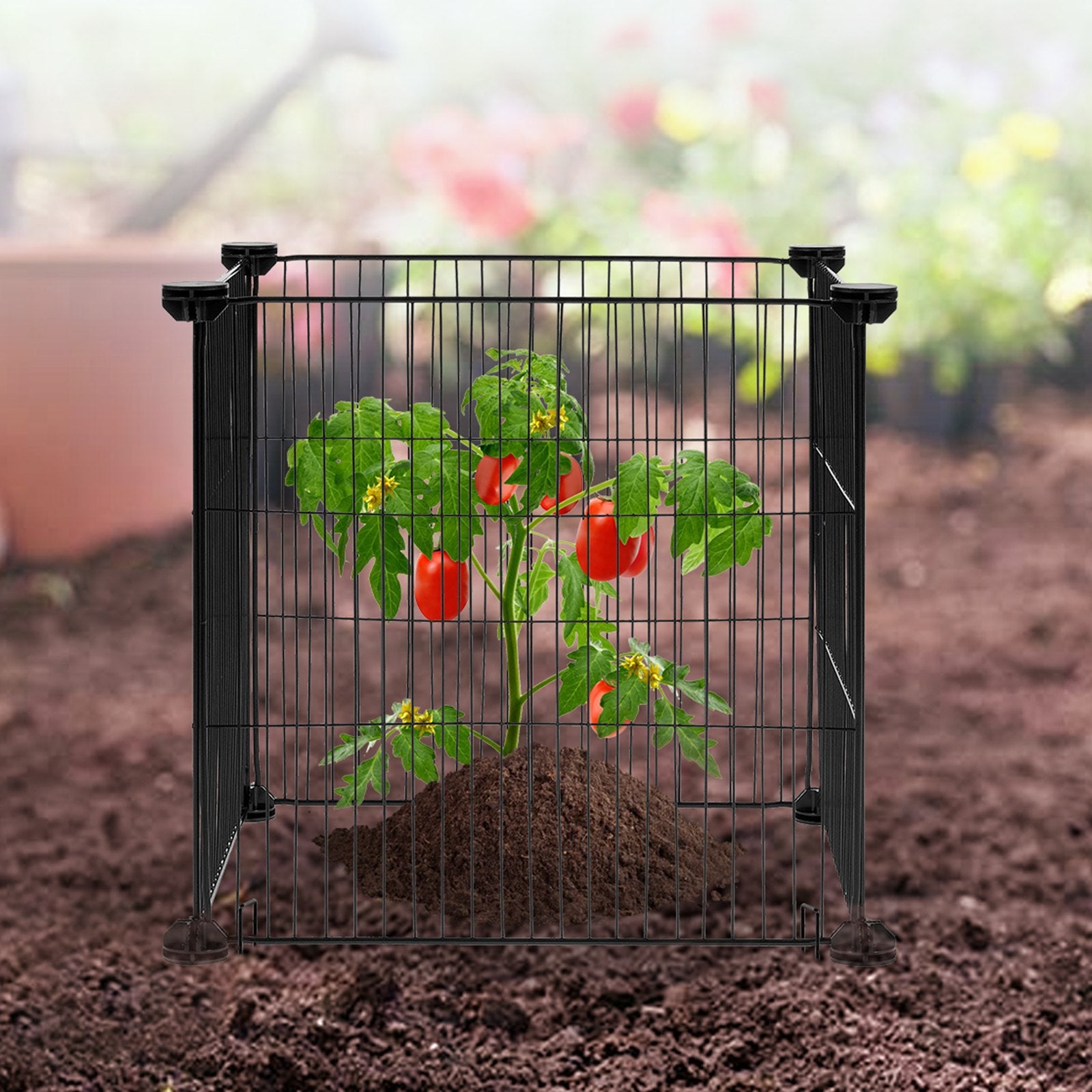 VEVOR 5 Pack Plant Protector from Animals, 390 mm x 390 mm Chicken Wire Plant Protector, Plant Cages for Outdoor Plants, Flowers & Vegetables, Keeps Bunny Chicken Squirrels Out, 20pcs Metal Mesh