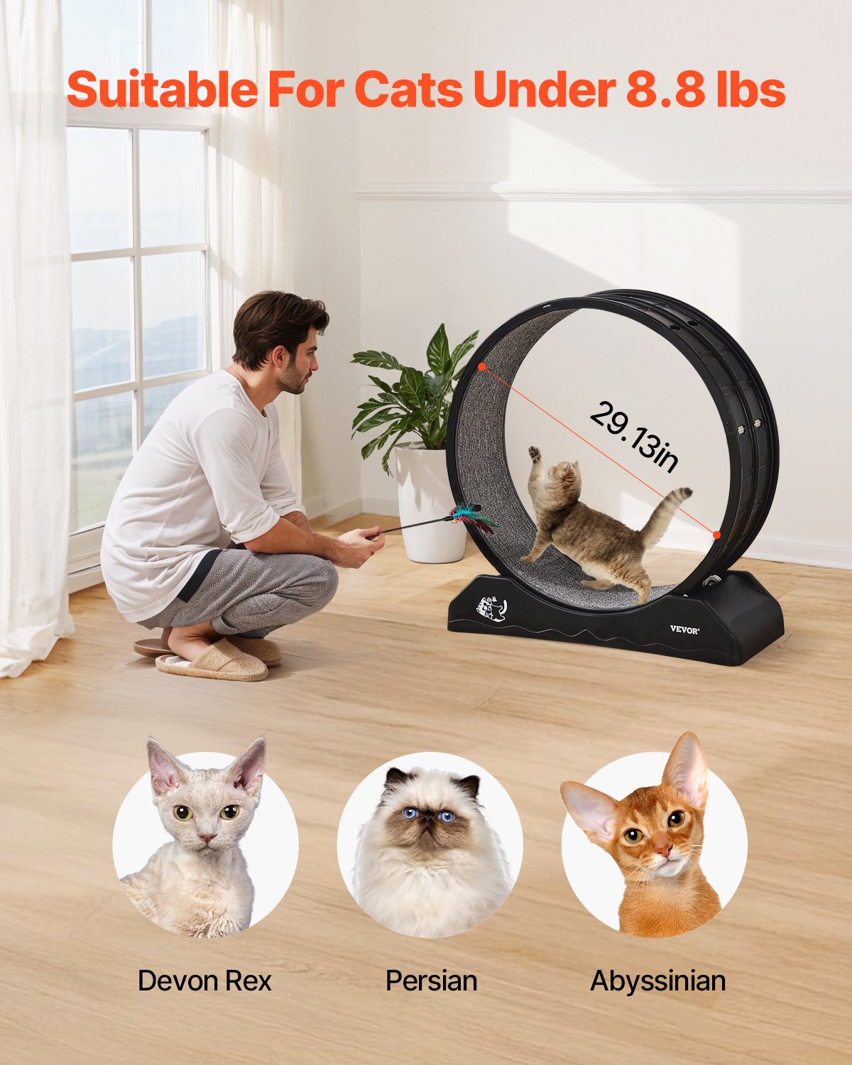 VEVOR Cat Exercise Wheel, 31.5 in, Large Cat Running Wheel with Secure Brake & Carpeted Runway, Quiet Operation Cat Treadmill, Indoor Cats Exerciser Wheel for Pets Weight Loss & Health Black