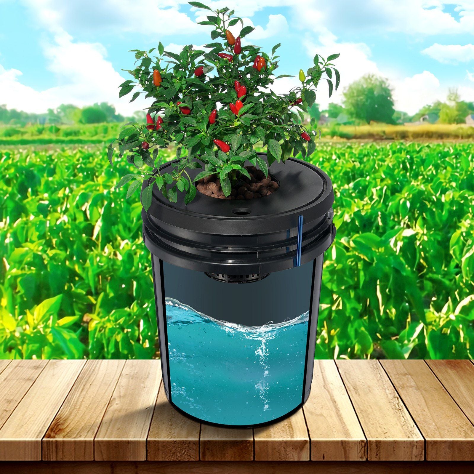 DWC Hydroponics Grow System, Hydroponic Growing System, Deep Water Culture 5-Gallon 4 Buckets, DWC System with Air Pump, Air Stones and Water Level Device for Leafy Vegetables
