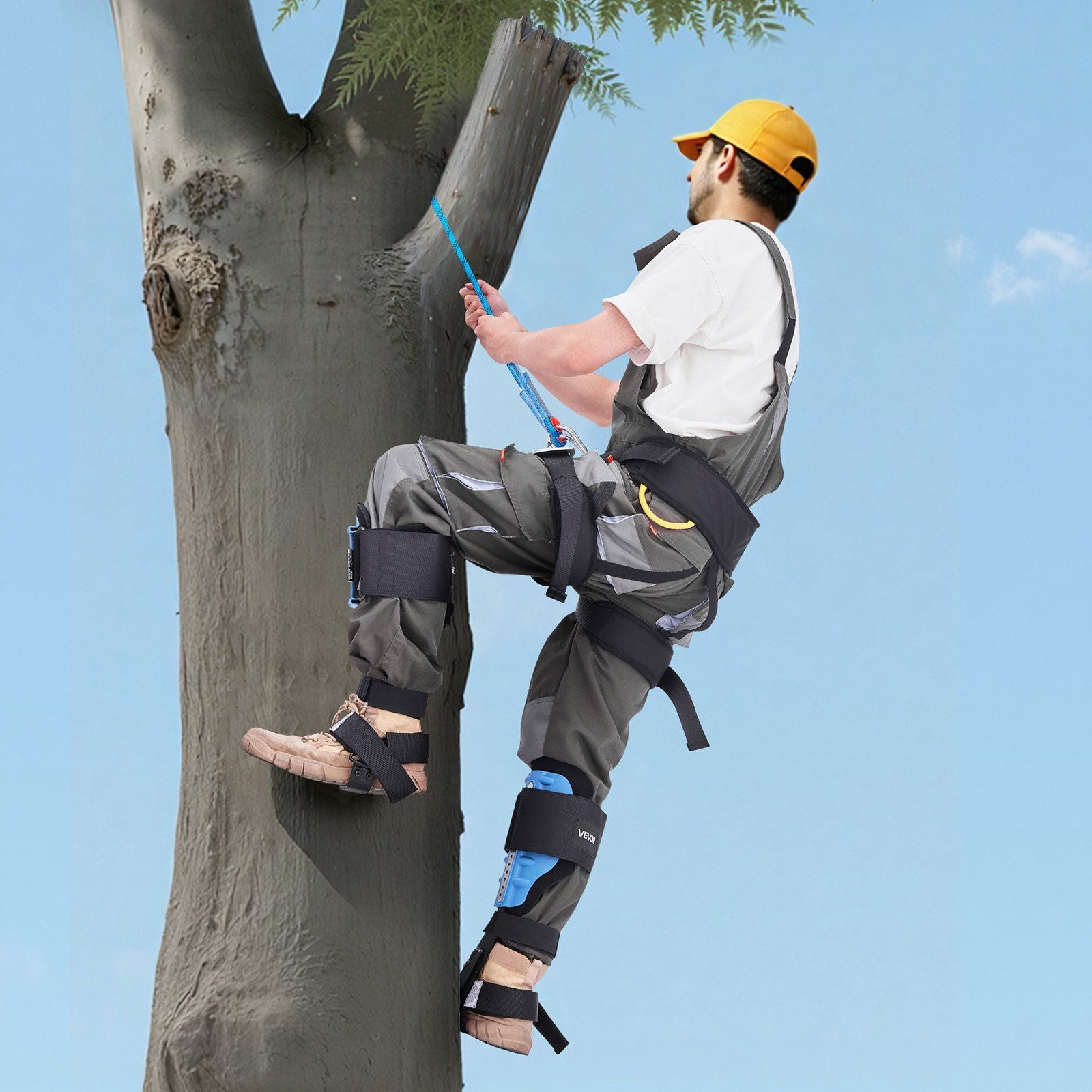 Tree Climbing Spikes, Height-Adjustable Tree Climbing Gear with Straps & Padding Cushion, 159 kg Load Capacity, Heavy Duty Steel Climb Spurs Arborist Equipment for Fruit Picking Hunting