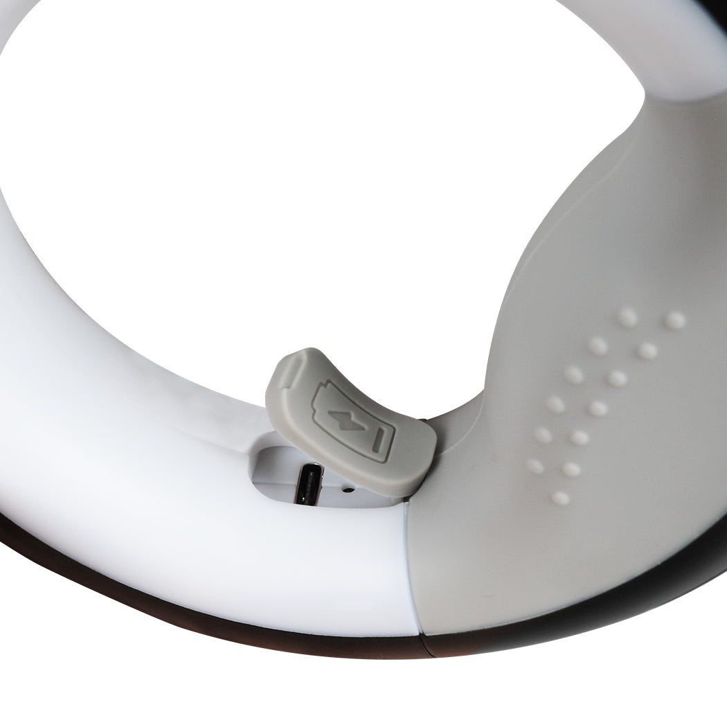 PaWz LED Dog Leash Lead Walking Rope Black-1954802564478406660