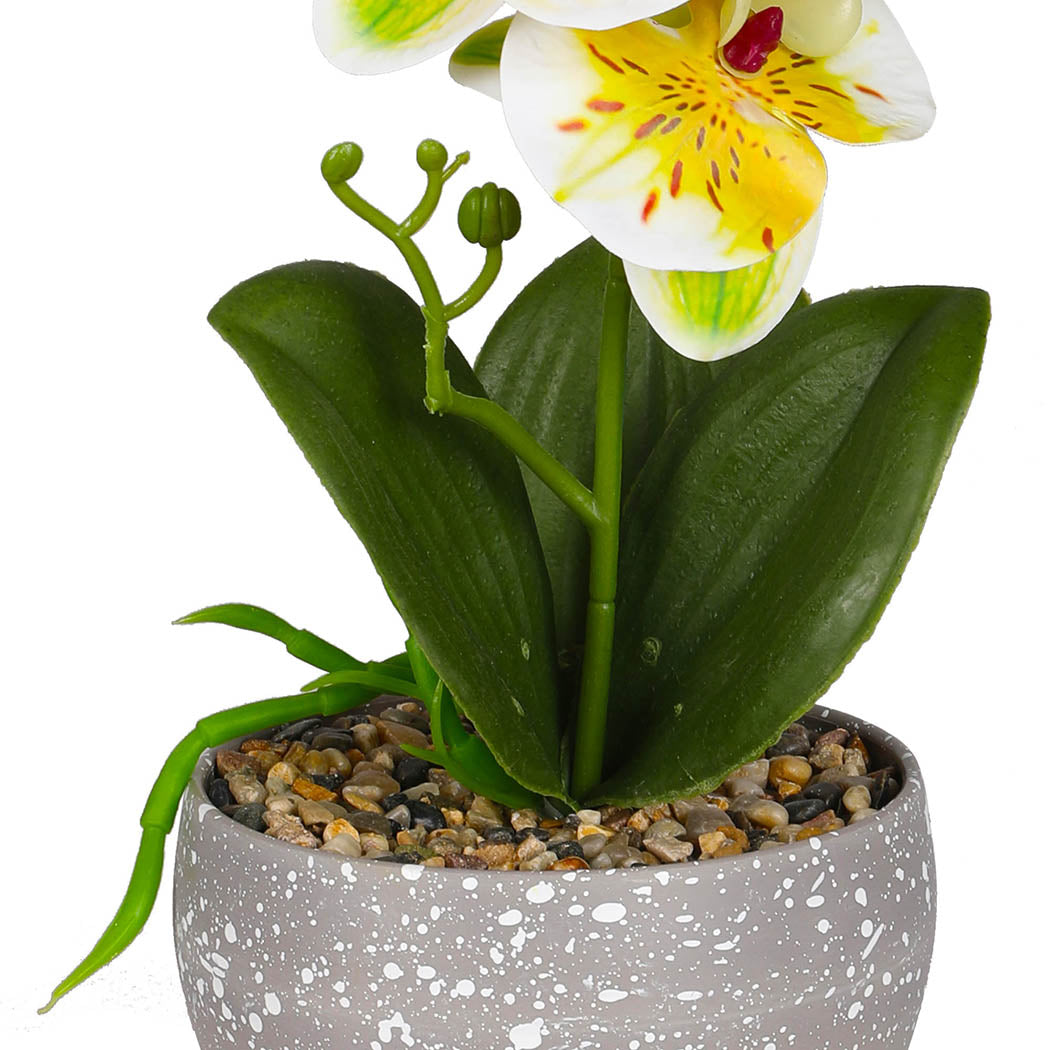 Lambu 6X Artificial Flowers Plant In-1910112531238752261