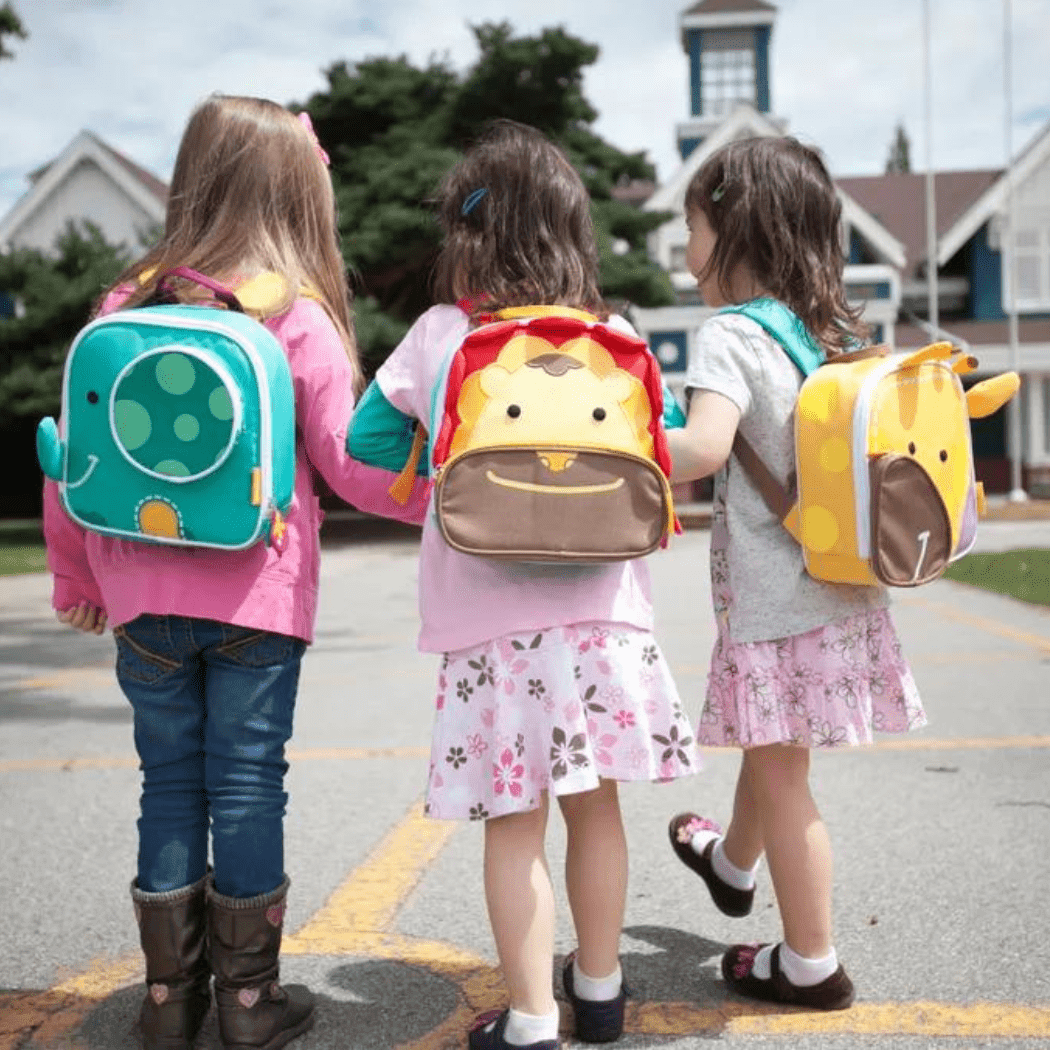 Marcus & Marcus- Insulated Backpacks/Lunch bags Pocky the Pig-Pink-1910112148323962882