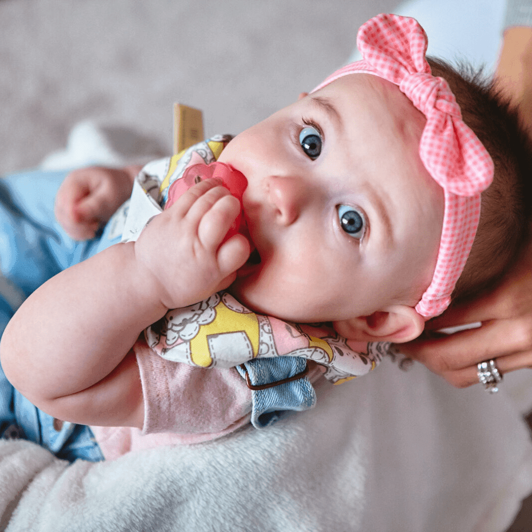 Marcus & Marcus- Organic Bandana Bib & Pacifier Bib Lucas the Hippo- Blue-1910112449495961604