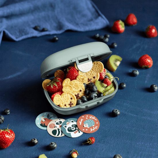 Monbento Gram Snack Box-Green Raccoon Green Raccoon-1954803050044592135