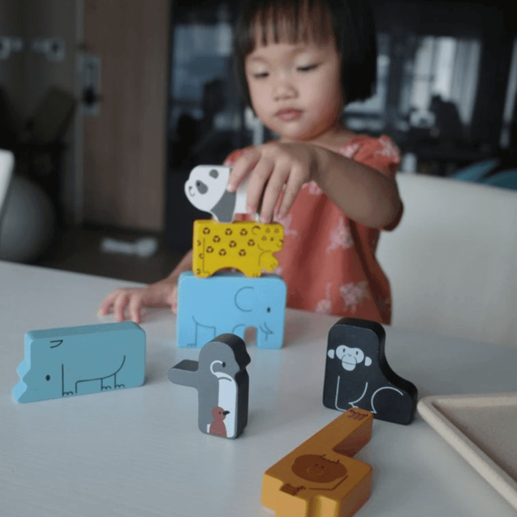 Plan Toys Animal Puzzle Game-1954803130822692869