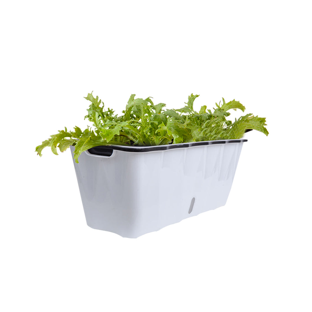 50cm Large White Rectangular Flowerpot Vegetable Herb Flower Outdoor Plastic Box Garden Decor