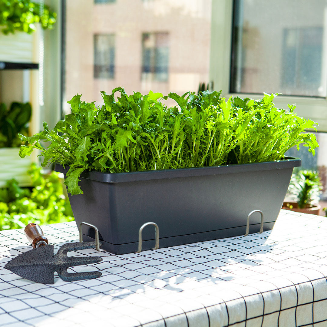 49.5cm Black Rectangular Planter Vegetable Herb Flower Outdoor Plastic Box with Holder Balcony Garden Decor Set of 3