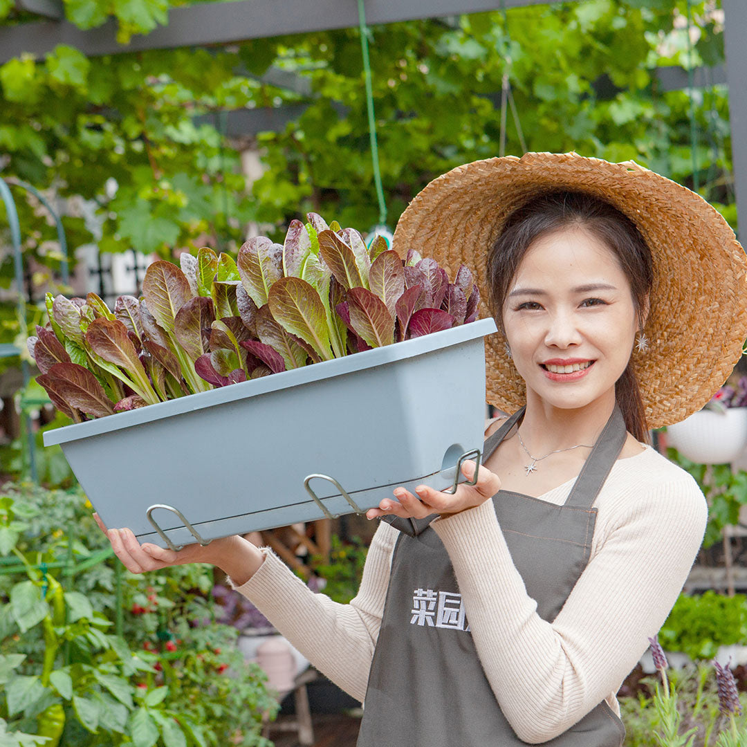 49.5cm Blue Rectangular Planter Vegetable Herb Flower Outdoor Plastic Box with Holder Balcony Garden Decor Set of 3
