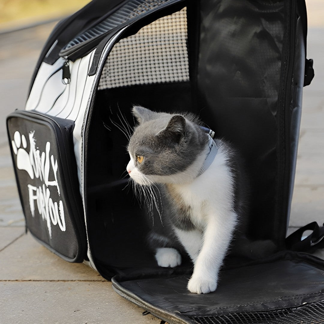 2X Black Pet Carrier Backpack Breathable Mesh Portable Safety Travel Essentials Outdoor Bag